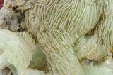 Green, Bladed Prehnite Crystals with Quartz - Morocco #292258-1